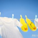바른세탁 이미지