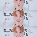 코코넛라이브