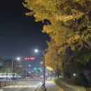 의정부 97 경기인터넷신문