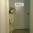 슈퍼마켓 이미지