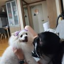 삼팔광택세차 | 하고 싶은 말이 많아서..