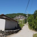 소나무(산촌마을) 이미지