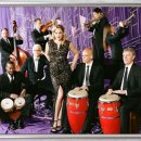 Splendor in the Grass - Pink Martini(차이콥스키 피아노 콘서트No1 Sampling) 이미지