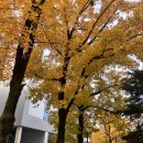 박종석 | 회사에서 꼭 필요한 ‘말하기·듣기·보고’ 스킬, 굴드펌프 신입사원 교육&#34;_두드림CS교육원_박종석 강사