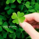 한영법률회계사무소 네이버블로그