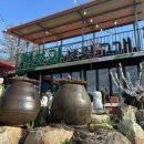 청도군파크골프장(남편) | 청도 밥집 맛집 추천 보리밥 정식 청보리 보릿고개