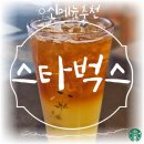 스타벅스 신메뉴 스타벅스 10월 신메뉴 트리스타 스타벅스 돌체핑거초콜릿 _ 스타벅스