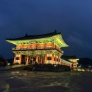 경주여행사 | [ 경주 여행 ] 경주의 벗꽃 축제, 2박 3일의 경주 여행 후기