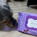 1공단로-7 이미지