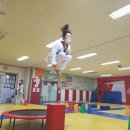 골든킥 태권도 유아체육 이미지