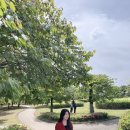 정발산파크골프장 | 일산 정발산역 파스타가 돋보였던 나폴리 화덕피자 챔피언 포폴로피자 솔직후기 (+ 정발산 둘레길)