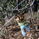 경이의세계 이미지