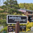 느티나무야영장 이미지