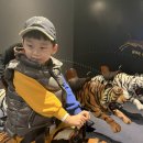 백두대간 생태전시관 학습관 | 남원 아이와함께 가볼만한곳ㅣ백두대간생태교육장 전시관 이용 및 다녀온 후기 🐅🐯