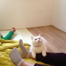 이순남