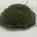 쑥떡쑥떡 이미지