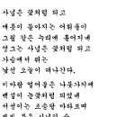 사념은 꽃처럼 피고 이미지