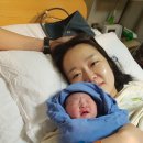 프롬 호호