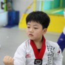 무림태권도장 이미지