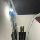 색깔 | [건대입구] 건대사주 건대사주공간 '색깔있는사주' 솔직 후기