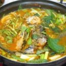 힘찬 민물 장어 이미지