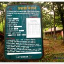 정암샘 이미지