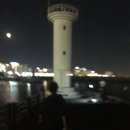 짜왕 | 10월 도파민 디톡스 보고서