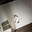 서여고 앞 | 11월 일기장 공유합니다