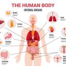 리우한의원 이미지