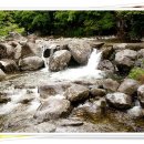 푸른숲황토방 이미지