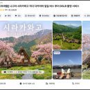 짚마루 | 나고야 시라카와고 버스투어 후기 찐 경험 추천