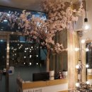 YOON 헤어 이미지