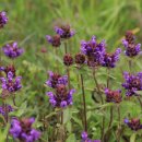 마티고개 화장실 이미지