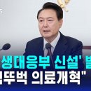 尹,뚜벅뚜벅 의료개혁&저출생부 대응부 신설검토 비난댓글가득! 이미지