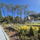 성남아트센터 이미지