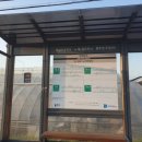 독성1리 하사 이미지