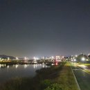 신녕천강변공원 이미지