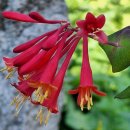 은산2리마을회관 | 삼봉 정도전 선생 사당을 다녀 왔습니다... 2025.11.05