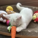 고봉초등학교 | 일상에 늘 하는 이야기.. (옷)