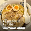 세븐일레븐 울산달동베스트 | 울산 남구 달동 라멘 맛집 요부코 현지인 찐맛집 베스트 혼밥 밥집