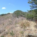 국사봉농장 이미지