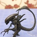 지존게임랜드 이미지