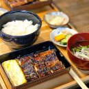 천막꼬리 | 후쿠오카 장어덮밥 가성비 맛집 키시가와 우나기 내돈내산 후기