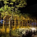 고운동_세종누리학교 네이버블로그