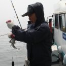 피쉬팩토리 이미지