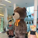 제주테디베어뮤지엄 이미지