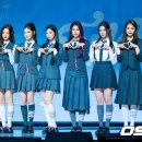 펑키트래블 이미지