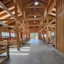 도훈농장 | 강원도 평창 하늘목장/아기가 실컷 뛰어다닐수있는 곳이에요./반려견환영