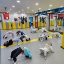 한국대룡태권도 이미지