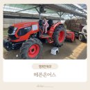 제일사슴농장 | 주말 아이랑 용인딸기체험농장 헤븐온어스 꿀팁 주차